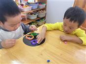 人气：326  上传时间：2023/11/30 15:51:50
