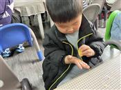 人气：104  上传时间：2023/12/1 11:23:07