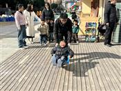 人气：103  上传时间：2024/1/12 15:03:12