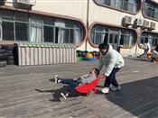 人气：125  上传时间：2024/1/12 15:08:06