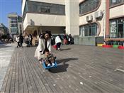 人气：123  上传时间：2024/1/12 15:08:07