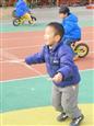 人气：95  上传时间：2024/1/19 13:33:14
