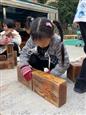 人气：102  上传时间：2024/1/26 9:27:29
