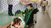 人气：109  上传时间：2024/1/26 10:04:52