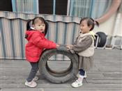 人气：102  上传时间：2024/1/26 10:49:35