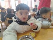 人气：96  上传时间：2024/1/26 10:53:23