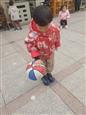 人气：118  上传时间：2024/2/29 13:31:46