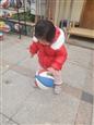 人气：111  上传时间：2024/2/29 13:31:56