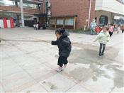 人气：95  上传时间：2024/3/1 16:43:41