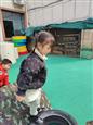 人气：96  上传时间：2024/3/13 16:06:25