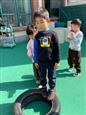 人气：98  上传时间：2024/3/21 13:47:07