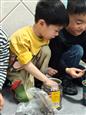 人气：102  上传时间：2024/3/29 13:21:45