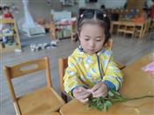 人气：92  上传时间：2024/3/29 16:12:49