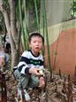 人气：103  上传时间：2024/4/12 13:05:31