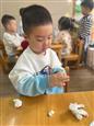 人气：81  上传时间：2024/4/12 14:47:59