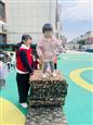 人气：94  上传时间：2024/4/12 15:11:44