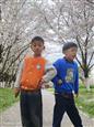 人气：82  上传时间：2024/4/19 14:10:42
