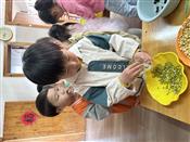 人气：96  上传时间：2024/4/19 8:05:05