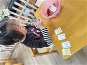 人气：84  上传时间：2024/4/19 11:30:45