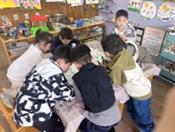 人气：81  上传时间：2024/4/23 13:36:56