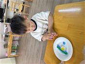 人气：85  上传时间：2024/5/10 16:32:28
