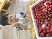 人气：86  上传时间：2024/5/10 16:44:02