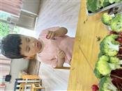 人气：90  上传时间：2024/5/10 16:44:21