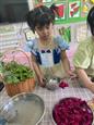 人气：90  上传时间：2024/5/22 14:01:35