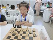 人气：84  上传时间：2024/5/27 12:23:35
