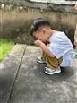 人气：93  上传时间：2024/6/14 15:56:00