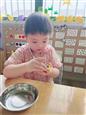 人气：61  上传时间：2024/9/20 12:37:54