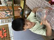 人气：62  上传时间：2024/9/20 12:55:20