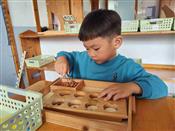 人气：63  上传时间：2024/10/11 13:38:08