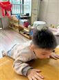 人气：54  上传时间：2024/10/21 15:55:39