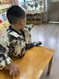 人气：56  上传时间：2024/10/21 15:55:44