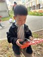人气：55  上传时间：2024/10/29 16:04:07