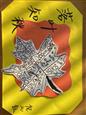 人气：54  上传时间：2024/11/6 16:31:12