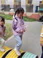 人气：62  上传时间：2024/11/20 12:44:49