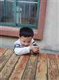 人气：64  上传时间：2024/11/20 12:45:01