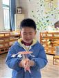 人气：45  上传时间：2024/12/20 15:41:45