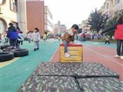 人气：50  上传时间：2024/12/20 10:30:07