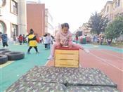 人气：49  上传时间：2024/12/20 10:30:22