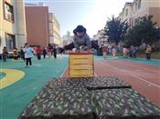 人气：50  上传时间：2024/12/20 10:30:24