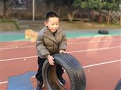 人气：43  上传时间：2024/12/20 12:42:51