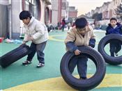 人气：42  上传时间：2024/12/20 12:42:54