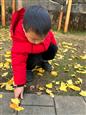 人气：45  上传时间：2024/12/27 15:53:52