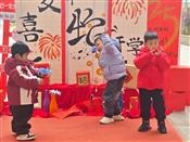人气：36  上传时间：2025/2/14 13:18:32