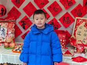 人气：34  上传时间：2025/2/14 13:30:35
