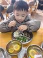 人气：33  上传时间：2025/2/14 12:49:59