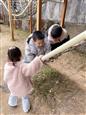 人气：29  上传时间：2025/2/20 14:05:10